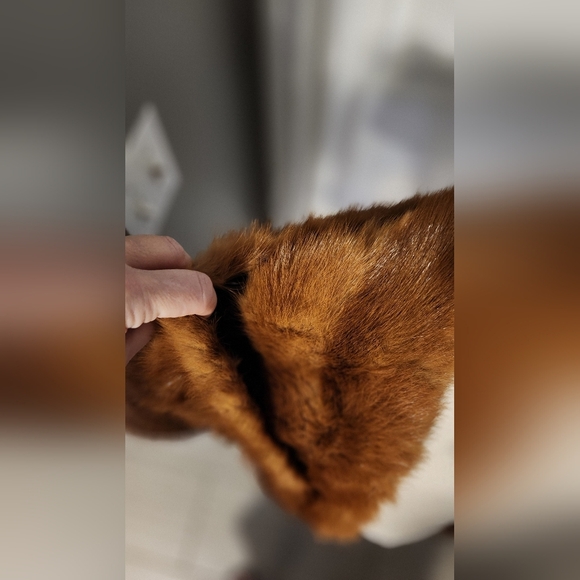 Luxurious Vintage Mink Stole - Picture 8 of 11